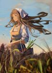  1girl absurdres basket brown_eyes brown_hair cloud evening food fruit grass highres holding holding_basket jenmin12 jewelry long_hair looking_to_the_side necklace original solo tall_grass wind 