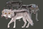  canid canine canis feral group hi_res mammal monster predatel trio wolf 
