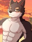abs anthro athletic athletic_anthro athletic_male beach canid canine canis domestic_dog dragokaizer666 hi_res male mammal muscular muscular_anthro muscular_male oscar_(knights_college) pecs seaside solo sunset