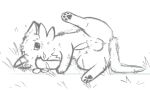 balls blep blush domestic_ferret erection genitals gulonine male mammal marten mustelid musteline paws resachii sachii_(resachii) shy sketch spreading tongue tongue_out true_musteline weasel