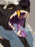 3:4 absurd_res anthro black_body black_fur black_nose bodily_fluids canid drooling duo fangs finger_in_mouth fur glistening glistening_eyes gold_(metal) gold_tooth grey_background hair hi_res imperatorcaesar male mammal mouth_play mouth_shot narrowed_eyes open_mouth pupils purple_tongue saliva saliva_on_tongue saliva_string simple_background slit_pupils solo_focus teeth tongue white_hair yellow_eyes