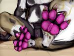 african_wild_dog anthro bodily_fluids canid canine character_graviegray cum dirty feet filth genital_fluids genitals grimy hi_res invalid_tag male mammal muffinvinvin paws pussy sitting smelly soles solo sweat toejam