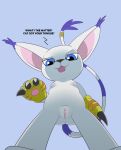 absurd_res bandai_namco claws digimon digimon_(species) dominant dominant_female female first_person_view gatomon genitals hi_res pussy solo tail teot