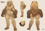 alternate_species bear big_hands blonde_hair brown_hair claws ear_piercing ear_ring female furrification gradient_hair hair hi_res humanoid inner_ear_fluff long_hair mammal markings masha_(mobile_legends) mobile_legends model_sheet neck_tuft nude piercing rdusk_huntress ring_piercing sketch solo tuft wide_hips