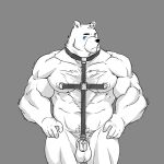 anthro areola balls bear biceps biped chastity_cage chastity_device genitals hi_res male mammal muscular muscular_anthro muscular_male nipple_piercing nipples pecs piercing solo witherrose1