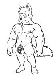 anthro balls biped canid canine chastity_cage chastity_device eyebrows fur genitals hi_res male mammal muscular muscular_anthro muscular_male navel nipple_piercing nipples pecs piercing solo tail white_body white_fur witherrose1