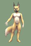 5_fingers anthro balls biped blue_eyes canid canine chastity_cage chastity_device countershade_torso countershading dipstick_ears dipstick_tail fingers fox genitals hi_res male mammal markings multicolored_ears muzzle_(object) muzzled solo tail tail_markings witherrose1