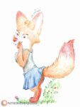  anthro canid canine female fox hi_res mammal solo yordraw yordraw_ocs 
