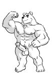 abs anthro balls bear biceps biped erection eyebrows flexing fur genitals glans hi_res humanoid_genitalia humanoid_penis male mammal monochrome muscular muscular_anthro muscular_male pecs penis smile solo witherrose1