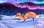  all_fours ambiguous_gender aurora_borealis blue_eyes canid canine feral fox fur hi_res mammal mountain orange_body orange_fur rukifox shooting_star side_view snow solo yato_(yatofox) 