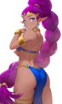  1girl armlet ass back bare_shoulders blue_eyes bracelet braid cheshirrr commentary dark-skinned_female dark_skin earrings from_behind highres jewelry long_braid long_hair looking_at_viewer looking_back neck_ring parted_lips pelvic_curtain pointy_ears purple_hair shantae shantae_(series) simple_background single_braid smile solo thighlet very_long_hair white_background 