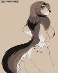 absurd_res afghan_hound anthro canid canine canis domestic_dog elena_hound_(thaismotosuwa) female hi_res hunting_dog mammal sighthound solo thaismotosuwa