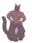 5_fingers abs biceps cat_taur domestic_cat felid felid_taur feline feline_taur felis fingers fur hi_res male mammal mammal_taur muscular muscular_male muscular_taur pecs simple_background solo tail taur whiskers white_background witherrose1