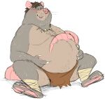 2024 anthro belly big_belly blush bottomwear bulge clothing feet grey_body hi_res loincloth male mammal moobs murid murine overweight overweight_male pink_nose rat readyadsen rodent sitting solo