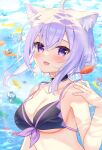  1girl :3 :d ahoge air_bubble animal animal_ear_fluff animal_ears bangs bare_arms bare_shoulders bikini black_bikini black_collar blurry blurry_background blush breasts bubble cat_ears cleavage collar commentary_request depth_of_field fish front-tie_bikini_top front-tie_top hair_between_eyes highres hololive looking_at_viewer medium_breasts nekomata_okayu purple_eyes purple_hair sidelocks smile solo sumisaki_yuzuna swimsuit underwater upper_body virtual_youtuber water 