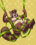 2024 5_fingers 5_toes anthro balls belly black_nose blue_eyes bow_ribbon brown_body brown_fur claws feet fingers flaccid fur genitals green_ribbon guffaw hair male mammal markings moobs nipples open_mouth overweight overweight_anthro overweight_male pattern_background penis procyonid raccoon ribbons simple_background smile solo striped_markings striped_tail stripes tail tail_markings teeth toes tongue