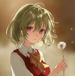  1girl collared_shirt flower green_hair holding holding_flower kazami_yuuka parted_lips puffy_short_sleeves puffy_sleeves red_eyes red_vest shironeko_yuuki shirt short_hair short_sleeves solo touhou upper_body vest white_shirt 