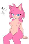  absurd_res amy_rose anthro areola big_breasts blue_eyes breasts eulipotyphlan female hedgehog hi_res hikaridraws looking_at_viewer mammal navel nude pink_areola pink_body sega sitting solo sonic_the_hedgehog_(series) tan_body text 
