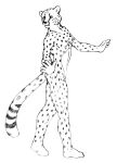  5_fingers anthro barefoot biped cheetah david_reiss featureless_chest feet felid feline fingers fur graphite_(artwork) looking_back male mammal nude pecs pencil_(artwork) simple_background sketch solo spots standing traditional_media_(artwork) 