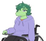  2024 alpha_channel anthro baryonyx cavemanon_studios clothing digital_drawing_(artwork) digital_media_(artwork) dinosaur disability eyelashes female fingers freckles goodbye_volcano_high green_body green_hair green_scales grey_eyes hair hi_res hoodie i_wani_hug_that_gator looking_at_viewer olivia_halford paraplegic reptile scales scalie short_hair simple_background sitting snout solo spinosaurid style_emulation theropod topwear transparent_background unlimited-edge vehicle wheelchair 