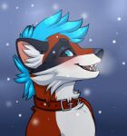  anthro eric_myval hi_res male mammal portrait procyonid raccoon snow solo takahiroreta 