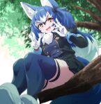  1girl absurdres animal_ears blue_hair boots dire_wolf_(kemono_friends) extra_ears gloves grey_eyes highres jacket kemono_friends kemono_friends_v_project long_hair looking_at_viewer lowlandgorilla outdoors ribbon skirt solo tail thighhighs tree twintails v virtual_youtuber wolf_ears wolf_girl wolf_tail 