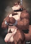  anthro balls canid canine canis chain collar genitals hi_res kamyuelo male mammal muscular muscular_anthro muscular_male penis scar solo vein veiny_penis wolf 