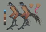  4_toes animal_genitalia anthro avian beak bird blue_eyes claws cuculiform feathers feet genitals hi_res looking_at_viewer male model_sheet new_world_ground_cuckoo nude penis roadrunner scarlet-frost scuted_arms scuted_legs scutes sheath simple_background solo tapering_penis toes zygodactyl 