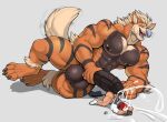  anthro anthrofied arcanine balls big_balls big_muscles big_penis bodily_fluids bottomless bottomless_male clothed clothing cum cumshot duo ejaculation generation_1_pokemon genital_fluids genitals grey_background hi_res human humanoid_genitalia humanoid_penis looking_pleasured lying macro male male/male mammal masturbation muscular muscular_male nintendo nipple_piercing nipples nude on_side penile penile_masturbation penis piercing pokeball pokemon pokemon_(species) pokemorph simple_background size_difference sniffing sniffing_clothes tail tail_motion tailwag underwear underwear_sniffing vein veiny_penis vexedlupine 