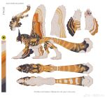  absurdres animal_ears animal_focus bird_wings calico cat_ears claws color_guide feathered_wings from_side full_body green_eyes highres no_humans original pawpads ran_(yitanran) reference_sheet simple_background tail white_background winged_arms wings 