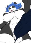  bear belly big_penis black_body black_fur blue_hair bra breasts clothing female fur genitals giant_panda green_eyes hair heart_symbol herm hi_res huge_penis intersex legwear leksi_(artist) looking_at_viewer low-angle_view mammal nuwa_nightstone penis pussy simple_background solo stockings thigh_highs torn_clothing under_boob underwear vein veiny_penis white_background white_belly 