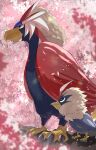  absurdres animal_focus beak bird black_eyes blurry blurry_foreground braviary bright_pupils cherry_blossoms commentary day evolutionary_line falling_petals from_side highres no_humans outdoors petals pokemon pokemon_(creature) rufflet talons white_pupils zeroartwo 