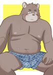 2024 anthro barely_visible_genitalia barely_visible_penis bear belly blush brown_body brown_fur clothing fur genitals hi_res kemono male mammal moobs navel nipples penis simple_background sitting slightly_chubby solo tmnt_omawari3 underwear 