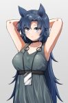  1girl absurdres animal_ears arknights armpits arms_behind_head arms_up belt black_belt black_choker blue_eyes blue_hair breasts chest_belt choker cjrb1228 cleavage closed_mouth collarbone commentary_request cowboy_shot dress fang_(arknights) gradient_background grey_background grey_dress hair_intakes high_belt highres korean_commentary large_breasts long_hair looking_at_viewer parted_bangs pinafore_dress pleated_dress scoop_neck sleeveless sleeveless_dress solo standing 