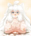  1girl animal_ear_fluff animal_ears areola_slip bath blush breasts commentary_request completely_nude fang grey_eyes highres huge_breasts kemono_friends lets0020 lion_ears lion_girl long_hair looking_at_viewer medium_bangs nude numbered open_mouth skin_fang smile soap_bubbles solo tile_wall tiles upper_body water white_hair white_lion_(kemono_friends) 