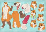  absurd_res baileyx canid canine fox hi_res knot male mammal model_sheet solo 