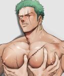  2boys absurdres bara earrings grabbing green_hair groping highres houhou1998117 jewelry large_pectorals male_focus multiple_boys muscular muscular_male nipples one_piece pectoral_grab pectorals roronoa_zoro scar scar_across_eye scar_on_chest scar_on_face scar_on_mouth short_hair upper_body yaoi 