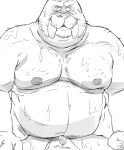  2022 anthro belly big_belly bodily_fluids duo kemono male mammal marine moobs musclegut navel nipples overweight overweight_male pinniped sex simple_background solo_focus sweat walrus yamakake 