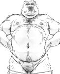  2022 anthro belly big_belly bulge clothing kemono male mammal moobs navel nipples overweight overweight_male simple_background solo underwear ursid yamakake 
