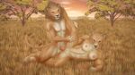  abs africa anthro black_nose breasts brown_body brown_fur clothing duo eyes_closed felid female fur genitals hi_res la_volpe lion male male/female mammal muscular nipples nude outside pantherine penis pussy raised_leg savanna smile sunset teeth whiskers white_body white_fur 