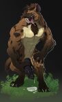  2019 anthro balls bodily_fluids brown_body brown_fur dripping erection fur genital_fluids genitals gnoll hair hi_res holding_penis hyaenid male mammal muscular muscular_male nude penis precum precum_drip rugissang solo spotted_hyena tongue tongue_out 