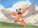  1girl animal_ears bare_shoulders bird_ears bird_legs bird_tail black_dress black_hair blush breasts cloud commentary_request dress feathers flying grey_eyes harpy highres jewelry medium_hair monster_girl multicolored_hair necklace nose_blush orange_dress orange_feathers orange_wings original sky small_breasts smith.s solo tail tail_feathers talons two-tone_dress two-tone_hair two-tone_wings white_feathers white_hair white_wings winged_arms wings 