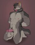 abs anthro ball_gag ball_tuft balls bdsm biped black_body black_fur blush bodily_fluids bondage bound canid canine canis circumcised claws collar dripping erection facial_hair feet fur gag gagged genital_fluids genitals glans goatee green_eyes half-closed_eyes hi_res horrorbuns humanoid_feet humanoid_genitalia humanoid_heel humanoid_penis kneeling male male_anthro mammal multicolored_body multicolored_fur muscular muscular_anthro muscular_male narrowed_eyes nipples patsy_(remember_the_flowers) pecs penis plantigrade precum precum_drip pubes remember_the_flowers solo tan_body tan_fur toe_claws tuft wolf