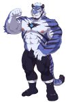  2022 anthro blue_body blue_fur bluedy_(estper) bulge clothed clothing countershade_face countershade_fur countershade_torso countershading estper felid footwear fur male mammal muscular muscular_anthro muscular_male pantherine smile socks solo striped_body striped_fur stripes tiger 
