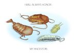  alunka ambiguous_gender antennae_(anatomy) arthropod beady_eyes brown_body drop_shadow english_text feral green_body group hi_res marine prehistoric_species simple_background text trilobite white_background 