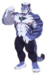 2022 anthro blue_body blue_fur bluedy_(estper) bulge clothed clothing countershade_face countershade_fur countershade_torso countershading estper felid fur male mammal muscular muscular_anthro muscular_male pantherine smile solo striped_body striped_fur stripes tiger 