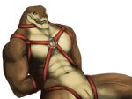  absurd_res anthro bdsm bondage bound harness hi_res kello_(mamaubear) male mamaubear scalie solo 