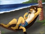  anthro beach beverage black_body black_fur black_tail brown_hair brown_nose cheek_tuft chest_tuft clothed clothing dipstick_tail drinking eyes_closed facial_tuft felid fur grass hair hammock hand_behind_head holding_beverage holding_object lion male mammal markings pache_riggs palm_tree pantherine plant reclining relaxing seaside signature solo tail_markings topless tree tuft whiskers white_body white_fur yellow_body yellow_fur yellow_tail 