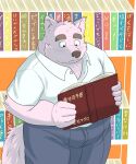  2022 anthro book bookshelf bottomwear canid canine canis clothing domestic_dog furniture hi_res humanoid_hands japanese_text kemono male mammal o_hashi2020 overweight overweight_male pants reading shirt solo text topwear 