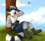  anthro black_body black_ears black_fur black_nose black_stripes blue_bottomwear blue_clothing blue_shorts blue_sky bottomwear cheek_tuft closed_smile clothed clothing cloud elbow_tuft eyes_closed facial_tuft fur gloves_(marking) grass grey_body grey_fur hi_res knee_tuft leg_markings leg_tuft male mammal markings mouth_closed outside pache_riggs plant procyonid raccoon shorts signature sitting sky socks_(marking) solo striped_body striped_fur striped_markings striped_tail stripes tail_markings topless tree tuft whiskers white_body white_fur white_stripes 